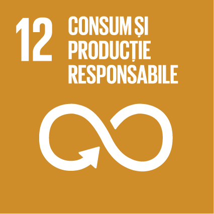 Consum și producție responsabile