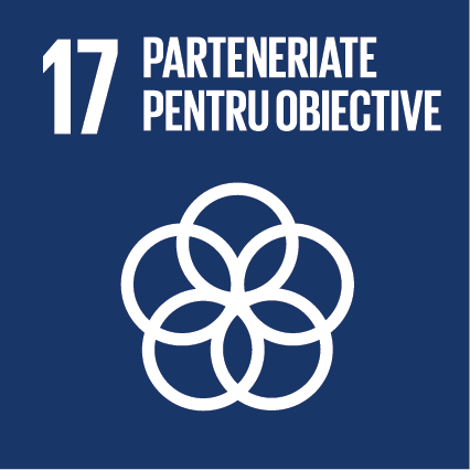 Parteneriate pentru obiective