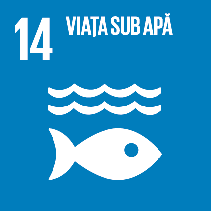 SDG
