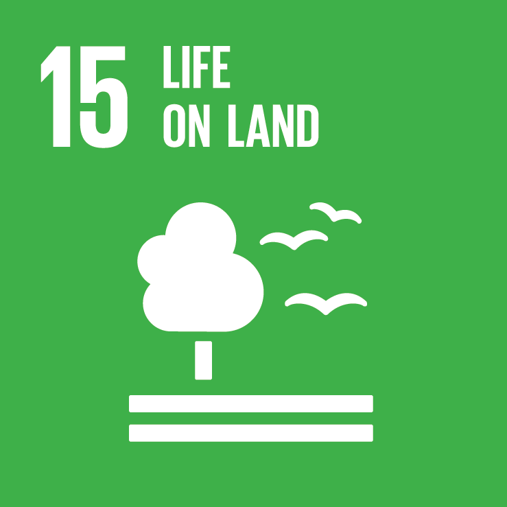 SDG